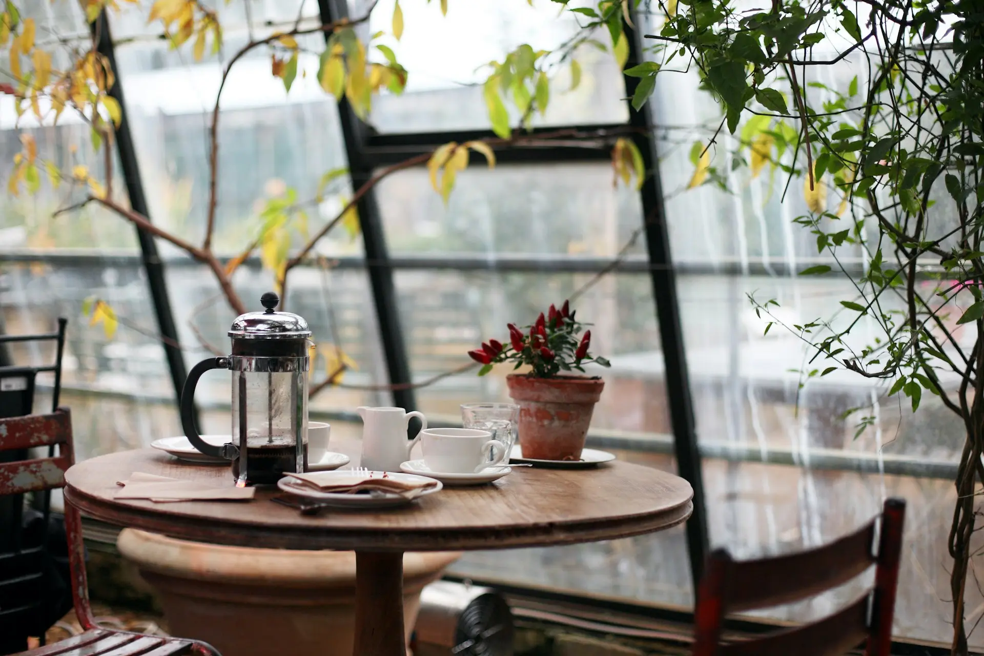 Bitkilerle çevrili, ışıklı kafe köşesi