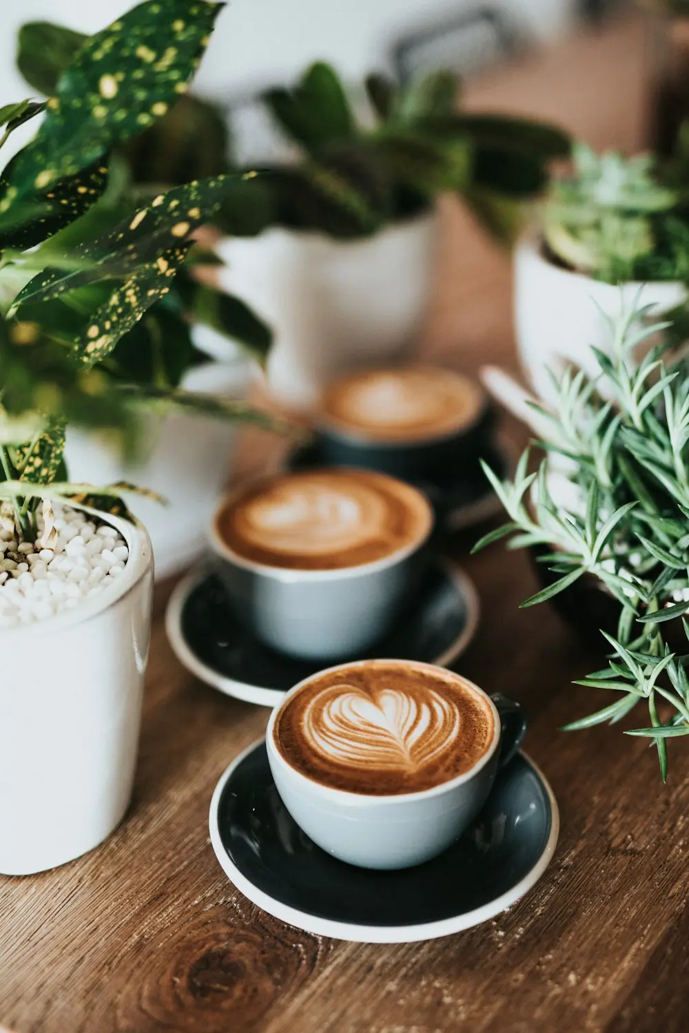 Latte art fincanları